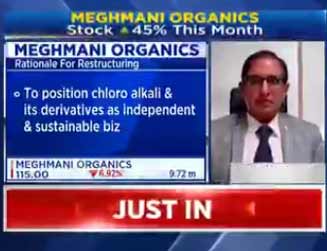 Restructuring  of Meghmani Organics Ltd and growth plans-CFO GS Chahal