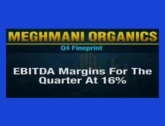 What caused the drop in the Q4 revenue of Meghmani Organics?